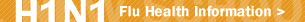H1N1 Flu Health Information