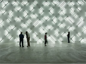 robert irwin