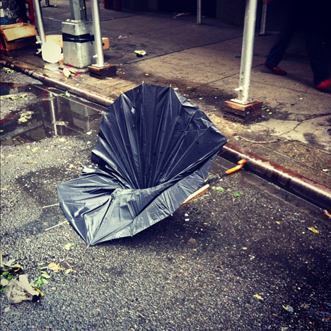 Broken Umbrella