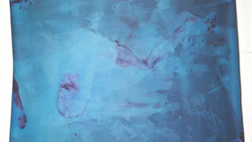 Sylvia  Hardy