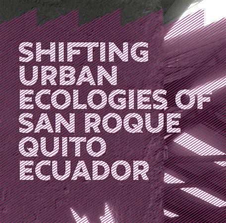 Shifting Urban Ecologies of San Roque Quito Ecuador