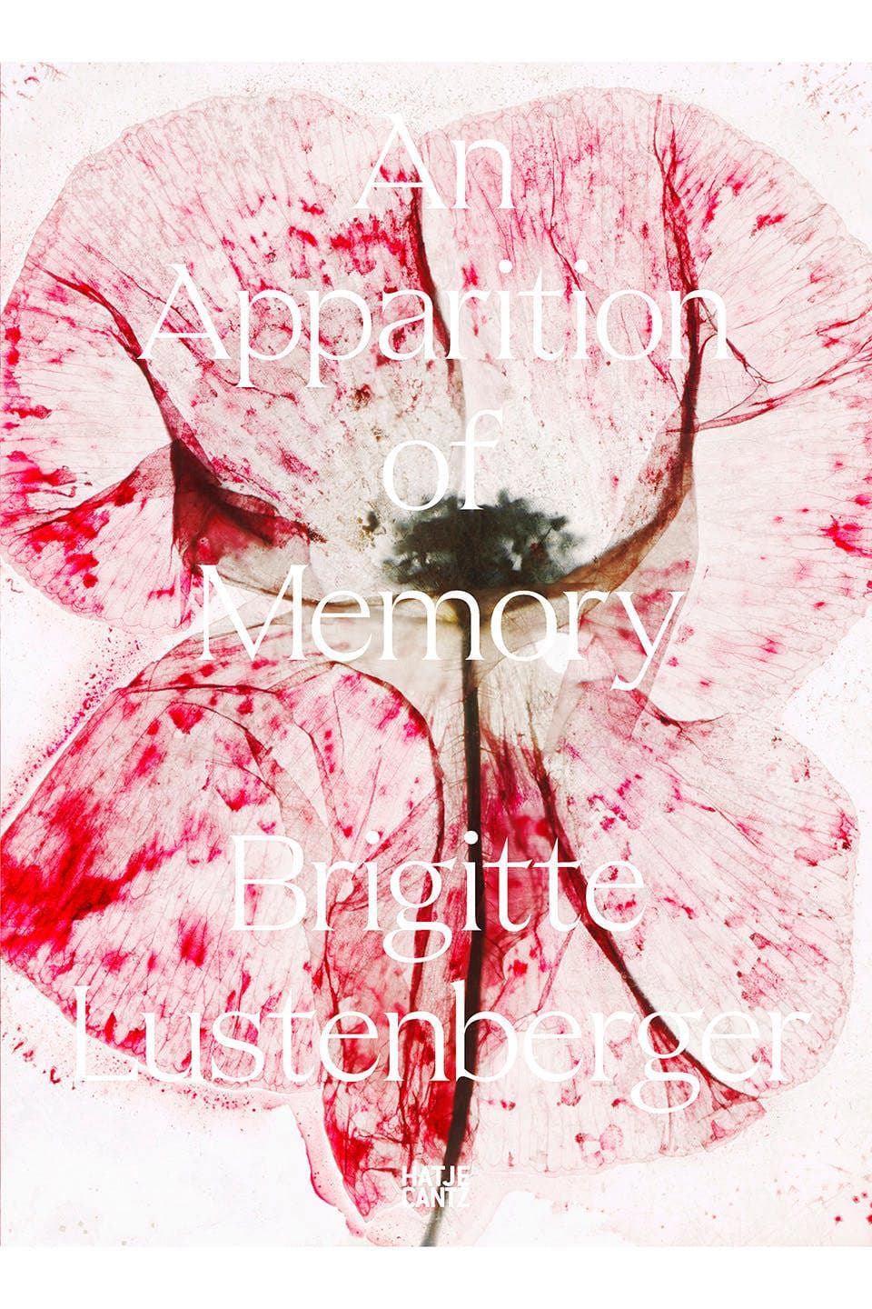 An Apparition of Memory