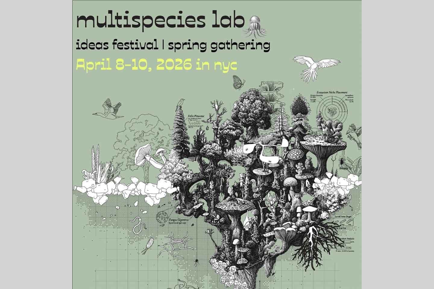 The New School's Multispecies Lab Ideas Festival Explores Less Human-centric Ways of Engagement