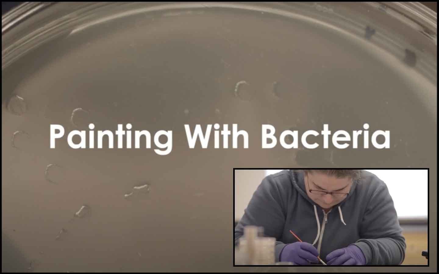 From the Archives: Bacterial Painting Workshops Hosted by Interdisciplinary Science