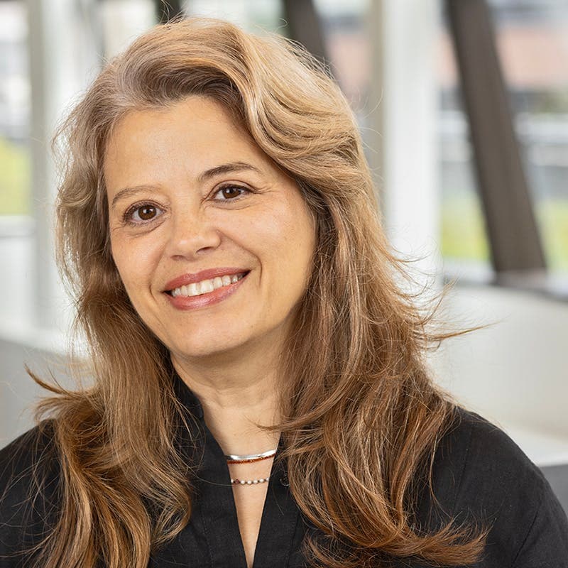Lara de S. Penin (PhD)