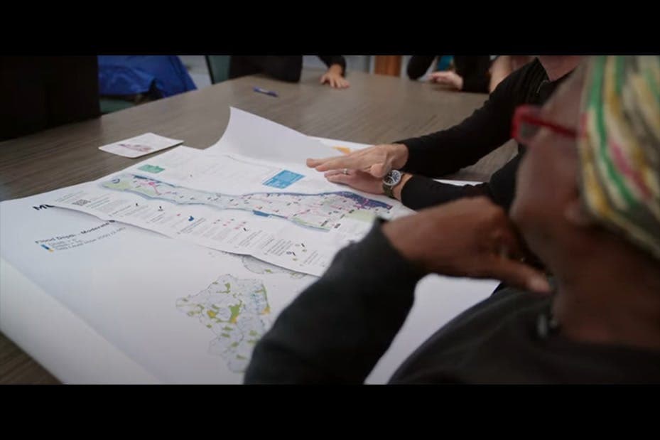 Envision an Urban Ecology