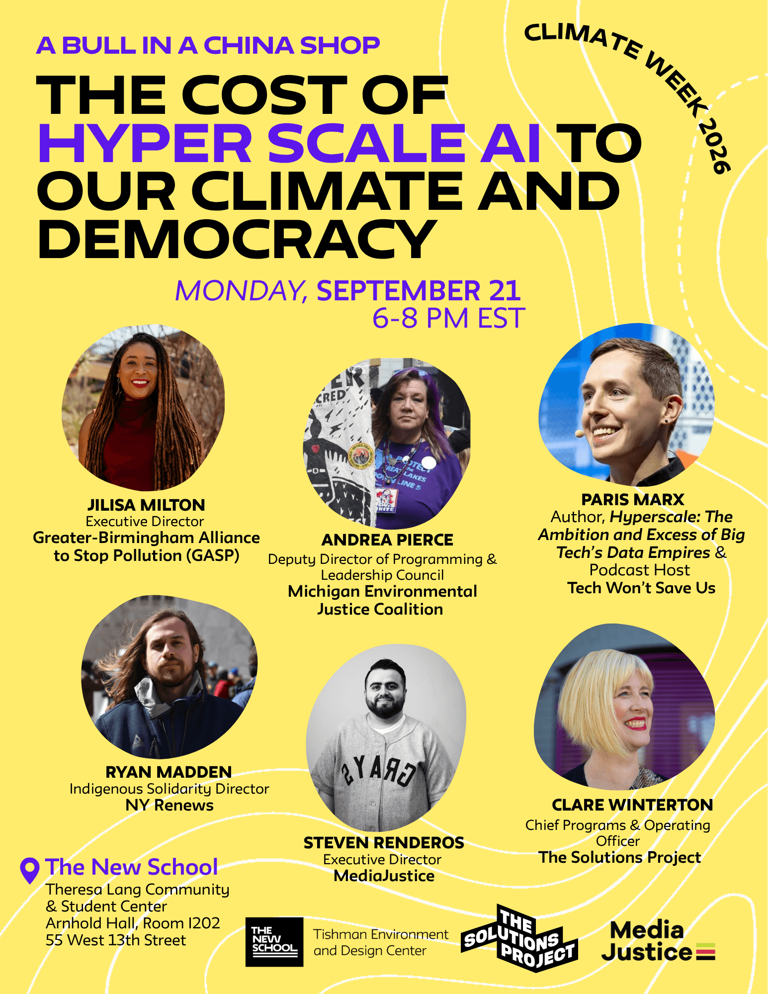 A Bull in a China Shop: The Cost of Hyper Scale AI to Our Climate and Democracy