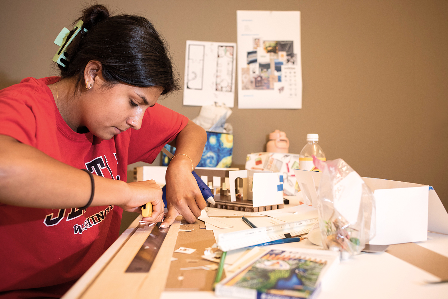 Summer Intensive Studies - College/Adult version