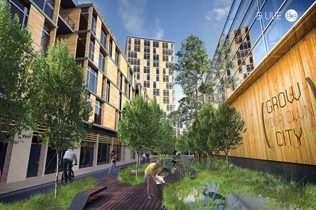 Timber in the City Winning Entry